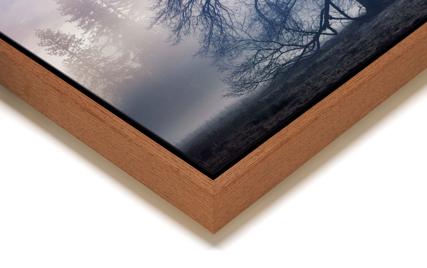 the faraway tree Yosemite Valley California buy limited edition photograph landscape Full Light Floating Tray Frame Solid Wood Acrylic Paul Reiffer