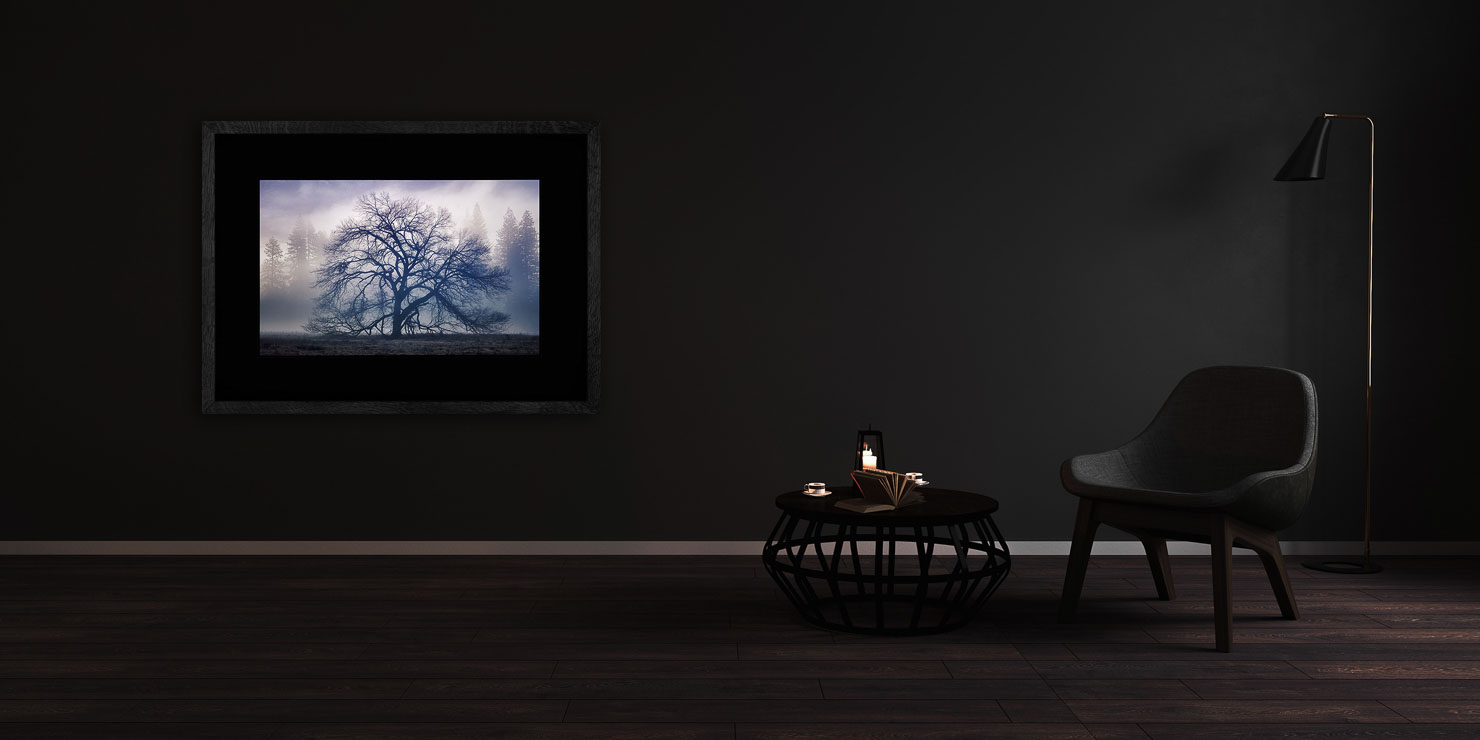 the faraway tree Yosemite Valley California buy limited edition photograph landscape Full Solid Wood Black Frame Complete Image Paul Reiffer Apartment 07 Dark Black Solid Wood Frame Paul Reiffer