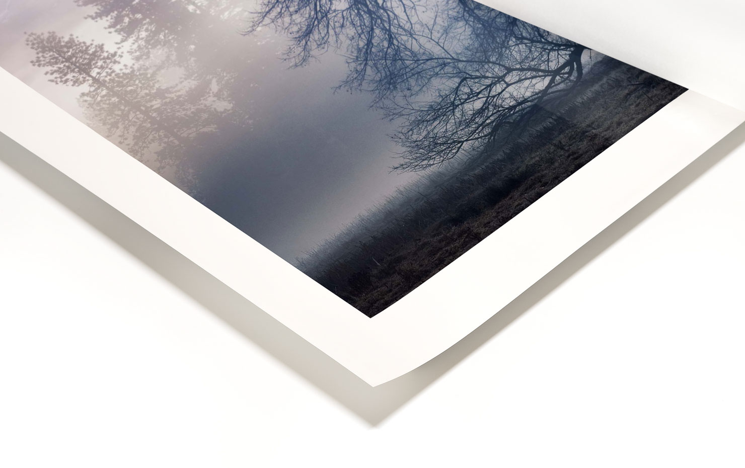 the faraway tree Yosemite Valley California buy limited edition photograph landscape Full Ultra Hd Print Paul Reiffer