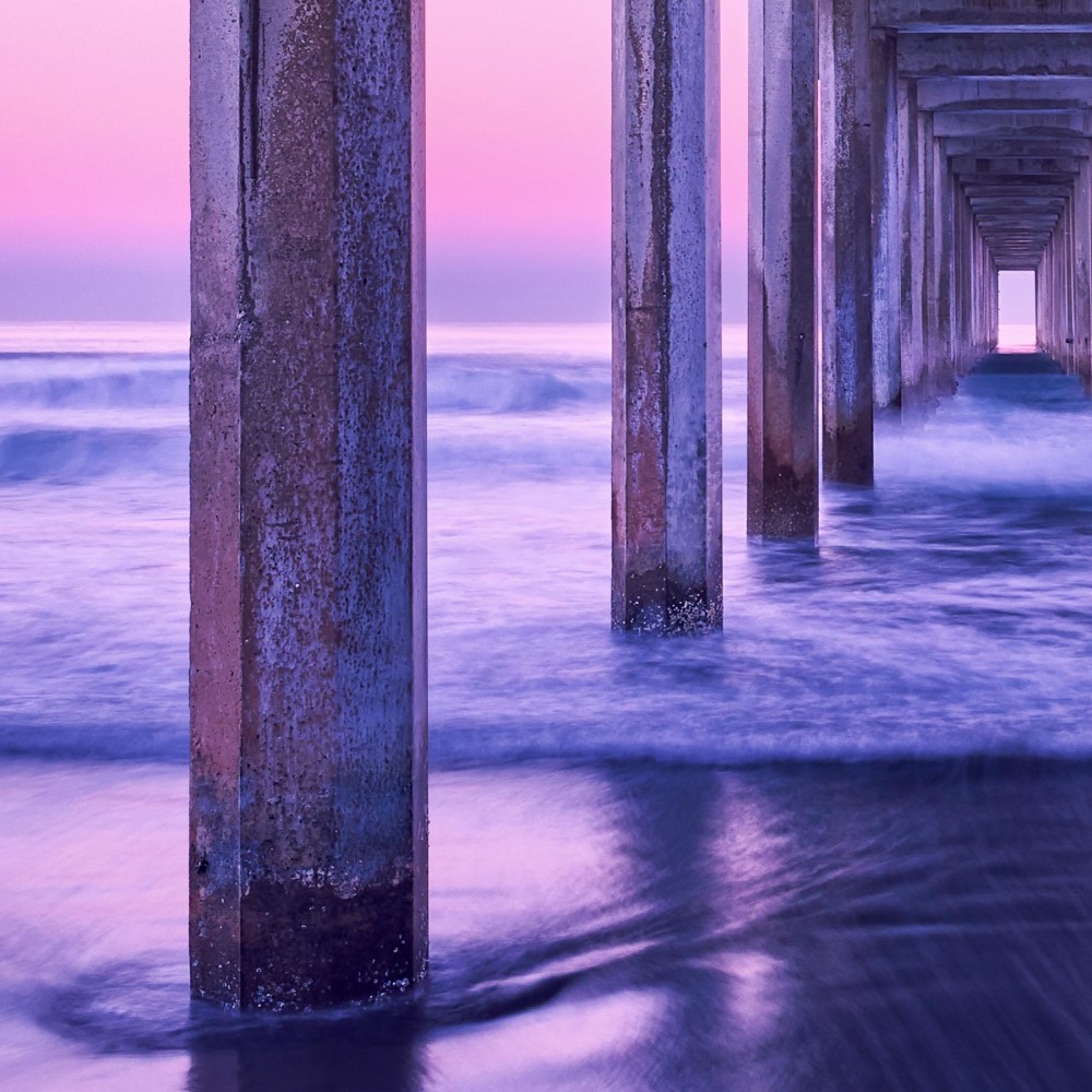 zen - buy the limited edition print online