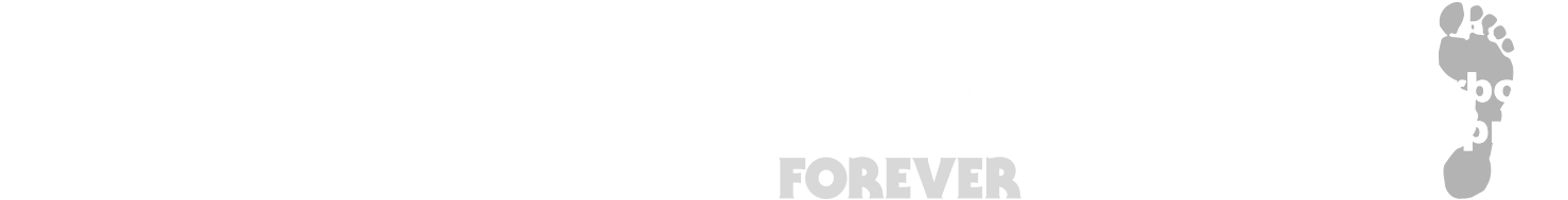 Paul Reiffer Sustainability Environment FSC PEFC CO2 Neutral Deliveries DPD Carbon Footprint Plant Trees Reduce Waste prints page Creating Tomorrows Forests