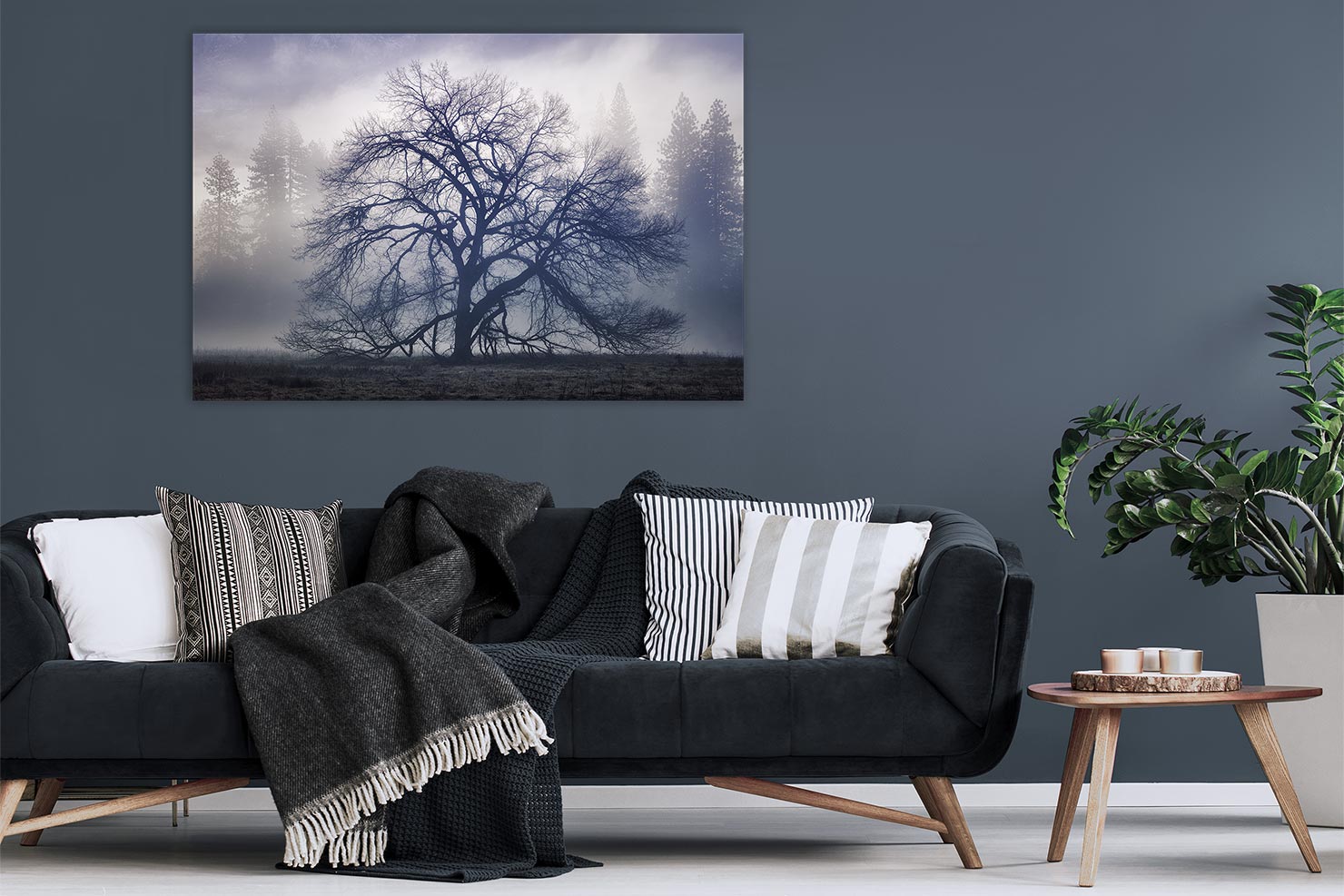 The Faraway Tree Room View Paul Reiffer Fine Art Limited Edition Photograph Print