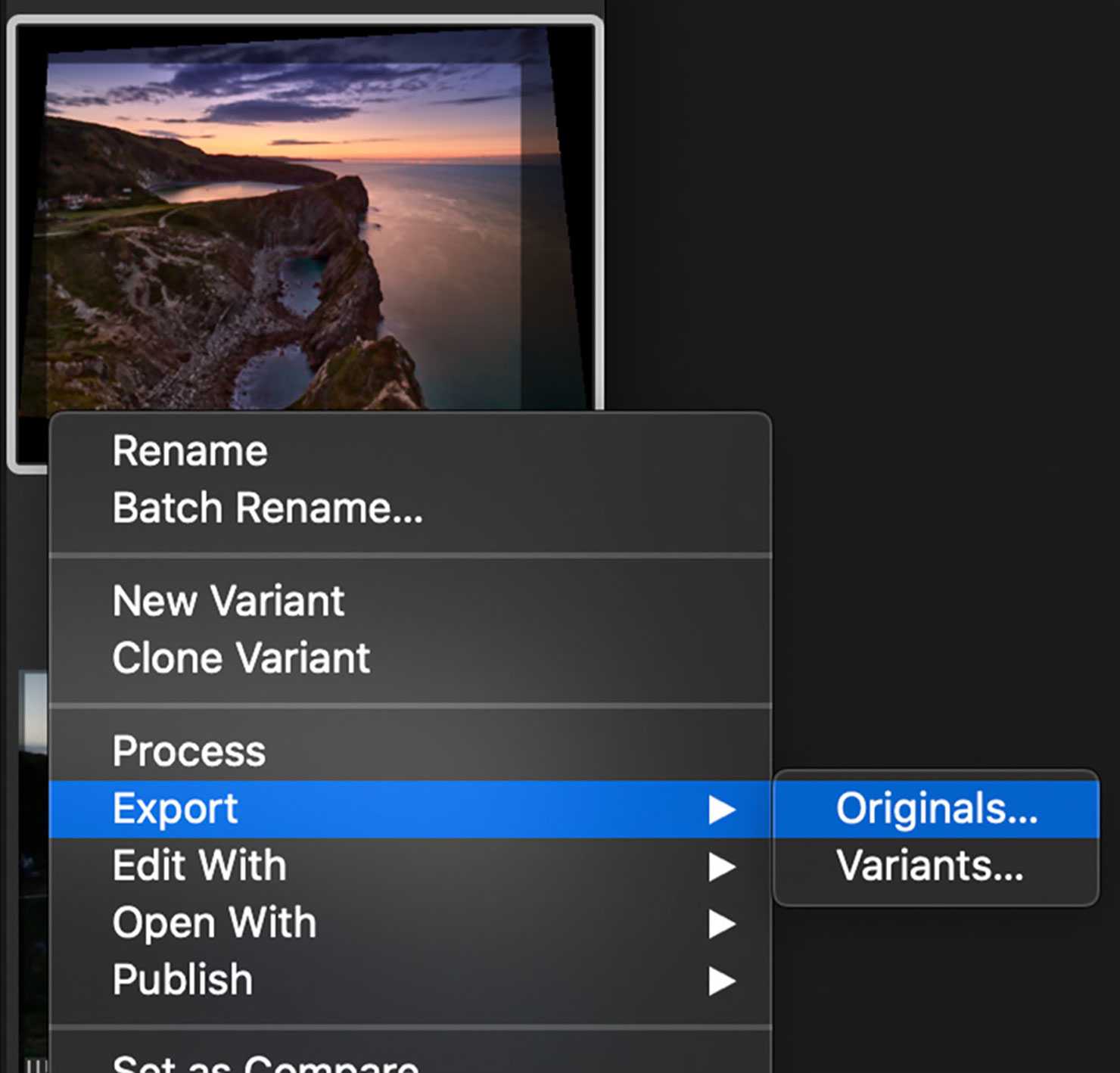 Step 1 How To Export EIP Originals Capture One 21 Competition Version Upgrade Win Free Example Before After Paul Reiffer Ambassador 2020 Software Update License