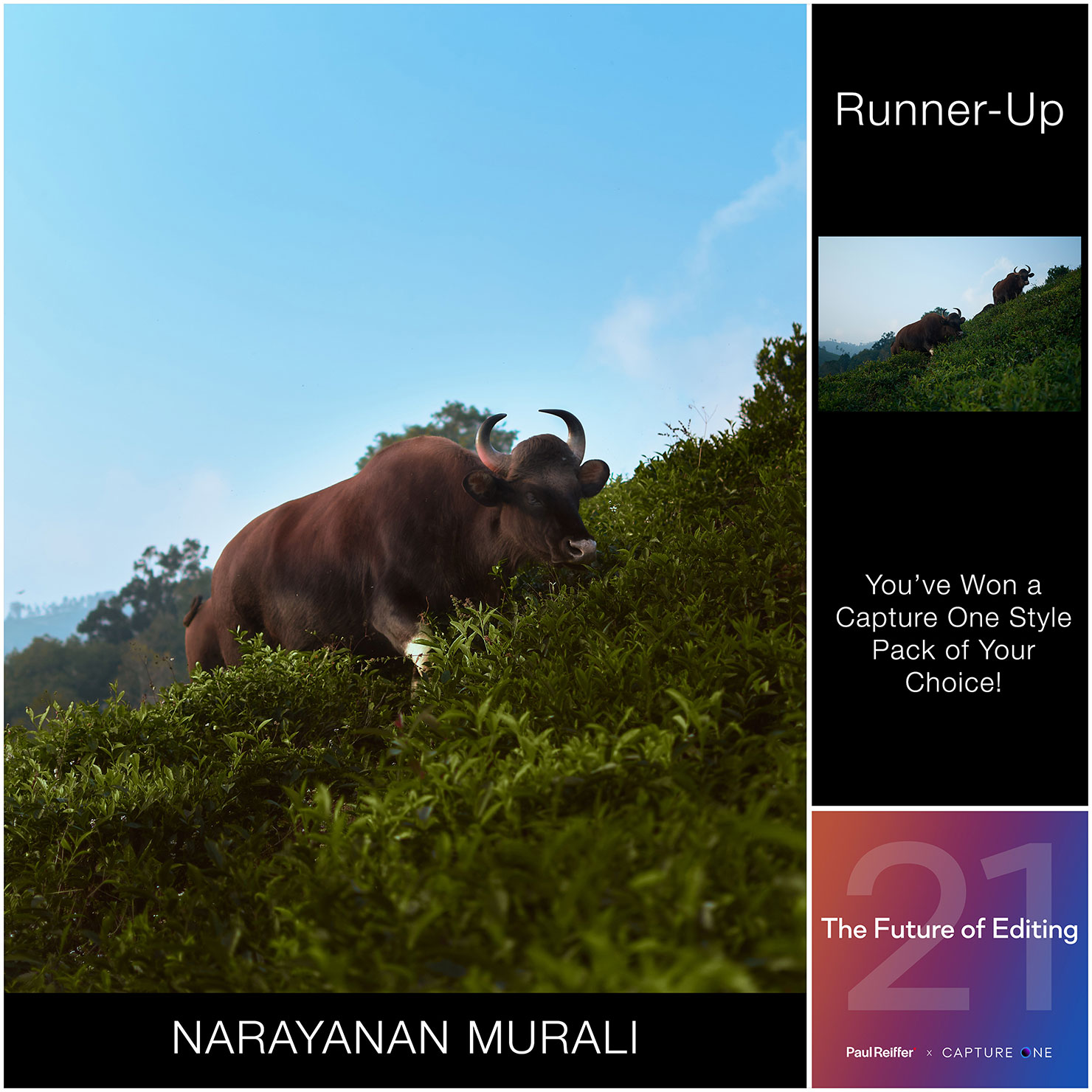 Capture One 21 Competition Runner Up Image Narayanan Murali