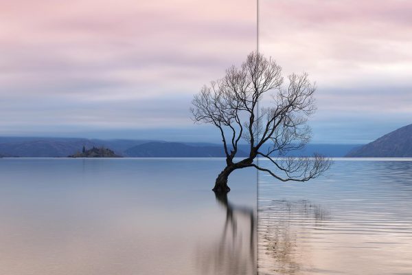 Paul Reiffer Complete Automated Frame Averaging Guide To Long Exposure Phase One Iq4 Xt How To Learn Wanaka Tree