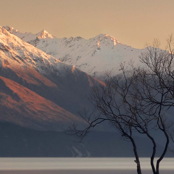 presence Lake Wanaka Tree Mountains New Zealand buy limited edition photograph landscape Detail