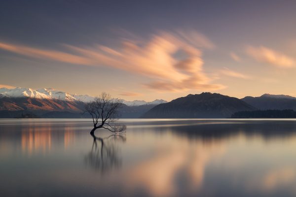 presence Lake Wanaka Tree Mountains New Zealand buy limited edition photograph landscape Full