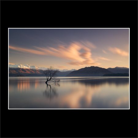 product image presence lake wanaka tree new zealand sunrise buy limited edition print paul reiffer photograph photography