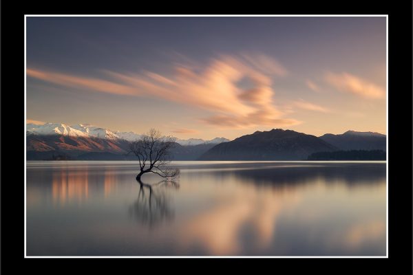 product image presence lake wanaka tree new zealand sunrise buy limited edition print paul reiffer photograph photography