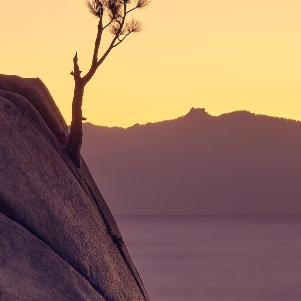 socially distant bonsai rock Lake Tahoe buy limited edition photograph landscape Detail