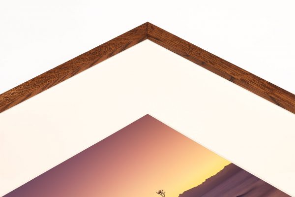 socially distant bonsai rock Lake Tahoe buy limited edition photograph landscape Full Solid Wood Single Mount Traditional Frame Paul Reiffer