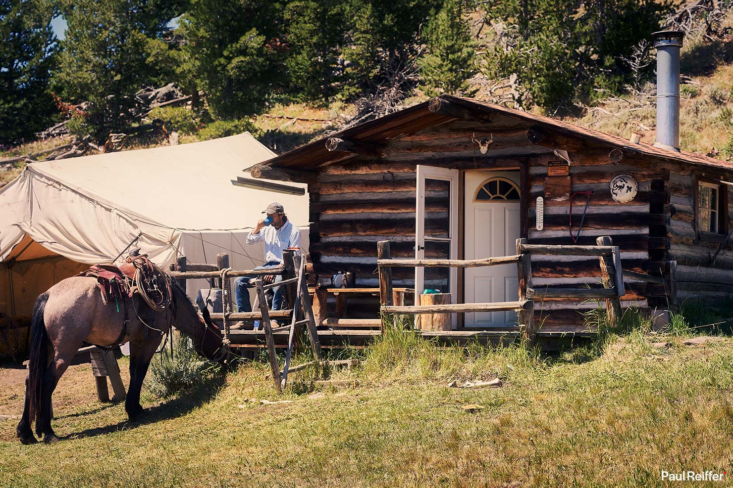 Bitterroot Morning Coffee Cow Camp Ross Cowboy Mountains Remote Setup Pack Trip Paul Reiffer Wyoming Ranch US West Cowboy Horses Fox Family Photographs Dubois Jackson WY