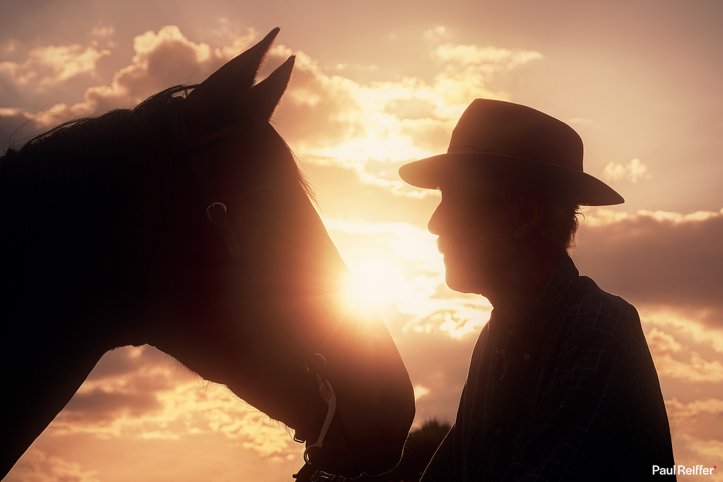 Bitterroot Partners Bayard Fox Silhouette Sunset Spy Horseman Rancher Owner Paul Reiffer Wyoming Ranch US West Cowboy Horses Fox Family Photographs Dubois Jackson WY