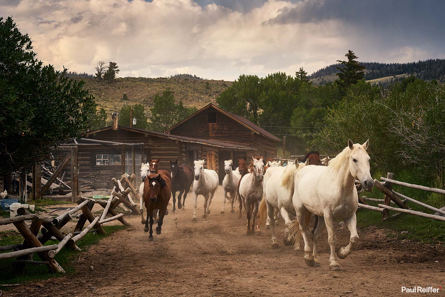 Bitterroot The Race Horse Stampede Dinner Time Mountains Remote Setup Paul Reiffer Wyoming Ranch US West Cowboy Fox Family Photographs Dubois Jackson WY