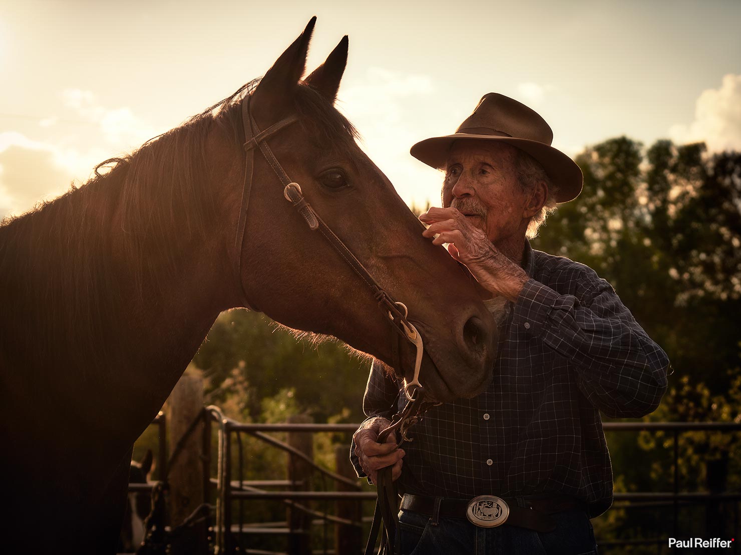 Bitterroot Understanding Bayard Fox Silhouette Sunset Spy Horseman Rancher Owner Paul Reiffer Wyoming Ranch US West Cowboy Horses Fox Family Photographs Dubois Jackson WY