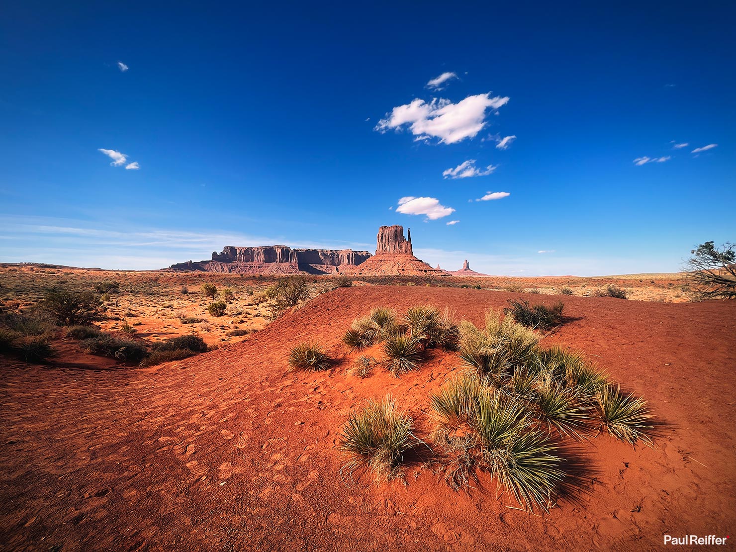 iPhone Paul Reiffer West Mitten Butte Close Up Vegetation BTS Paul Reiffer Monument Valley Utah Arizona Red Sand Rocks Ultra Wide Lens IMG_1904