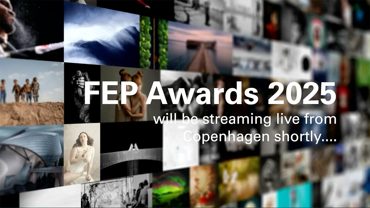 FEP Awards 2025 Waiting Livestream Loading Image Copenhagen Winners Screen Federation Of European Photographers