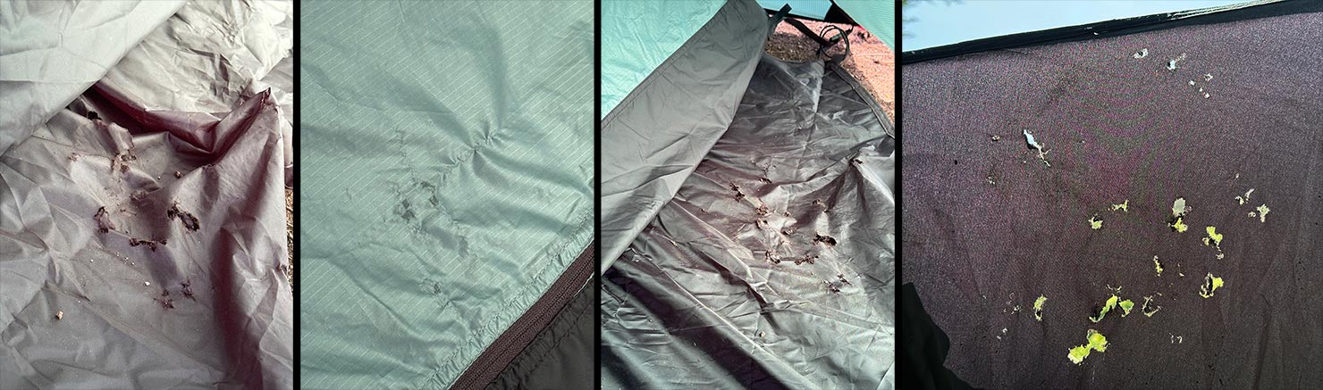 2025 Chipmunk Ate My Tent Footprint Inner Terra Nova Southern Cross 2 Paul Reiffer Big Sur California McWay Falls Silnyon Nylon Camping Holes IMG_7332