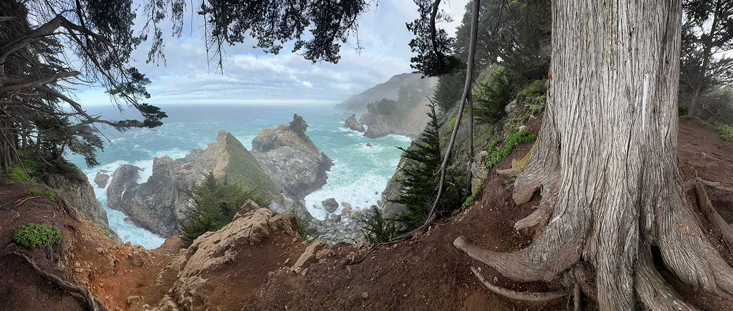 2025 Reverse View From Camp McWay Falls Beach Big Sur Coastline Route 1 Camping Private Trees Paul Reiffer Nature IMG_7220