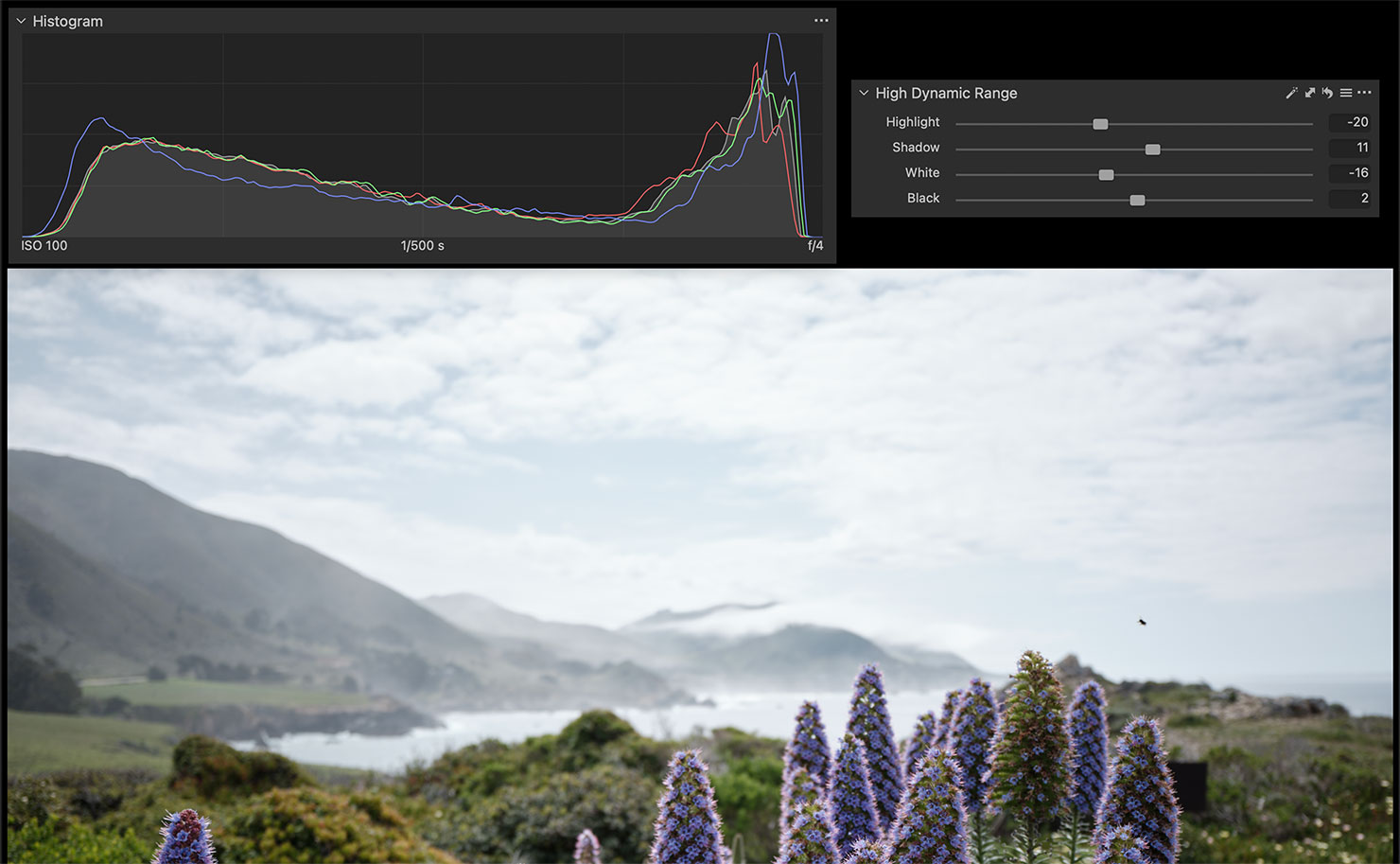 Capture One Highlight recovery Fujifilm GFX100RF 100MP Press Review Paul Reiffer Medium Format Fuji Phase One Photographer Big Sur X100VI Compare