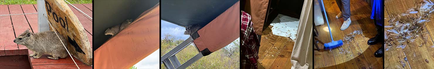 Wildlife Camp iPhone Shot Testing Fuji Mahali Mzuri Richard Branson Private Camp Safari Kenya Testing Paul Reiffer Photographer Africa Luxury Tented Wildlife Nature