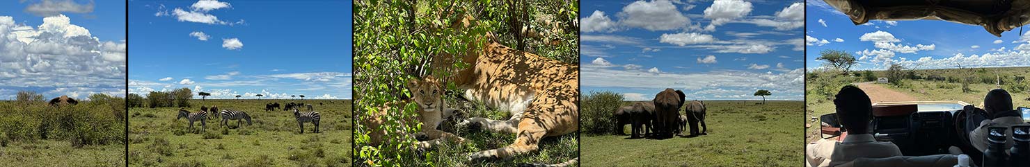 drive to camp from airport iPhone Shot Testing Fuji Mahali Mzuri Richard Branson Private Camp Safari Kenya Testing Paul Reiffer Photographer Africa Luxury Tented Wildlife Nature