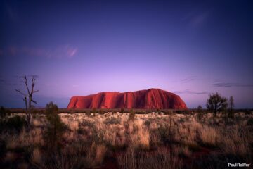 3x2 Banner Header Image Photo Uluru Red Center Sunrise Australia Dawn P0009114 Paul Reiffer Photographer Red Centre Phase One License Landscape Commercial Buy
