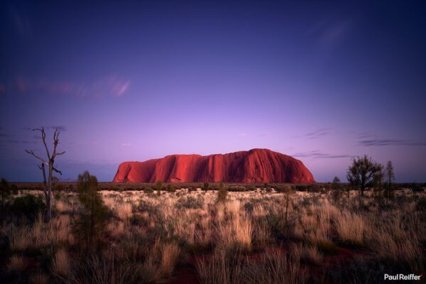 3x2 Banner Header Image Photo Uluru Red Center Sunrise Australia Dawn P0009114 Paul Reiffer Photographer Red Centre Phase One License Landscape Commercial Buy