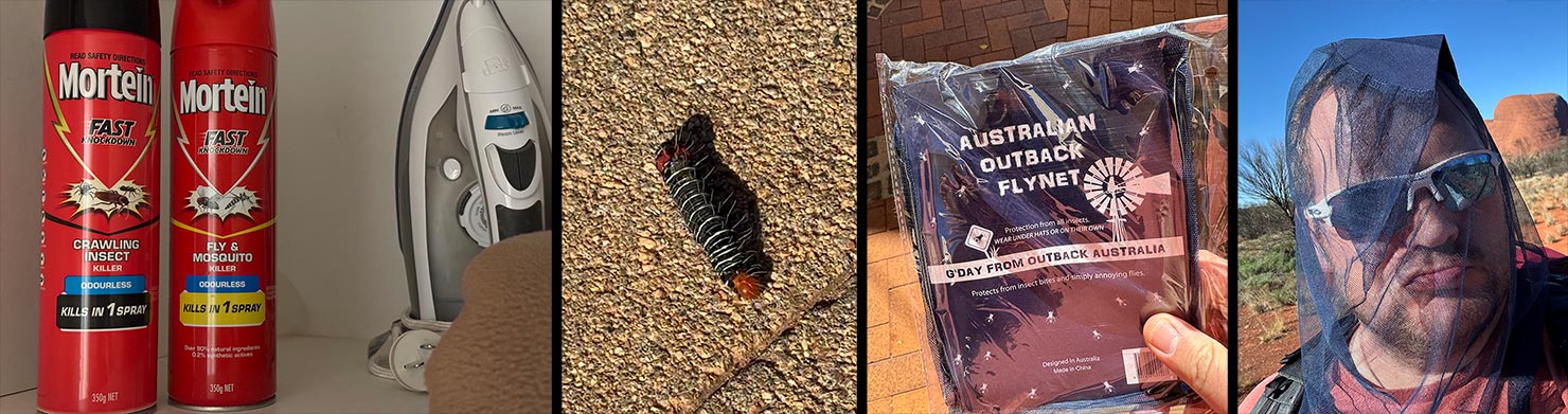 Flies Bugs Spray Caterpillars Creatures Photographing Uluru Ayers Rock Australia Red Centre Paul Reiffer Photographer Phase One Landscape Permit Approved IMG_6881