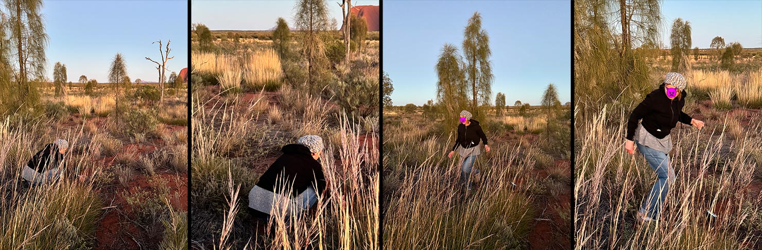 Influencers Idiot Stay On Path Photographing Uluru Ayers Rock Australia Red Centre Paul Reiffer Photographer Phase One Landscape Permit Approved IMG_6900