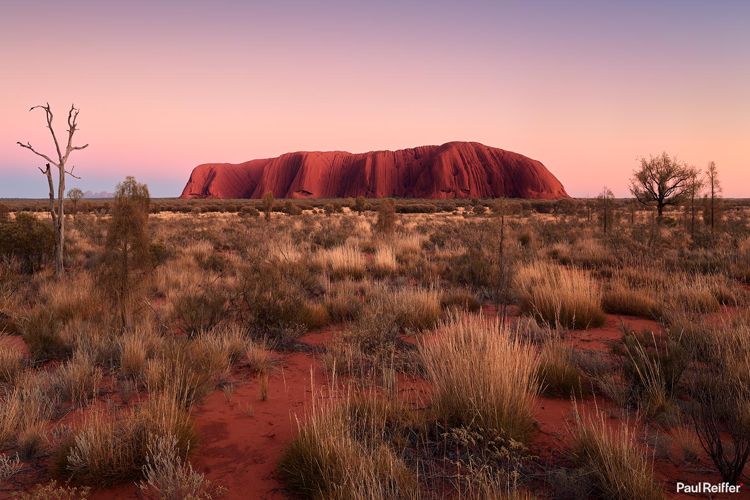 Uluru First Glow Dawn P0016574 Paul Reiffer Photographer Red Centre Phase One License Landscape Commercial Buy