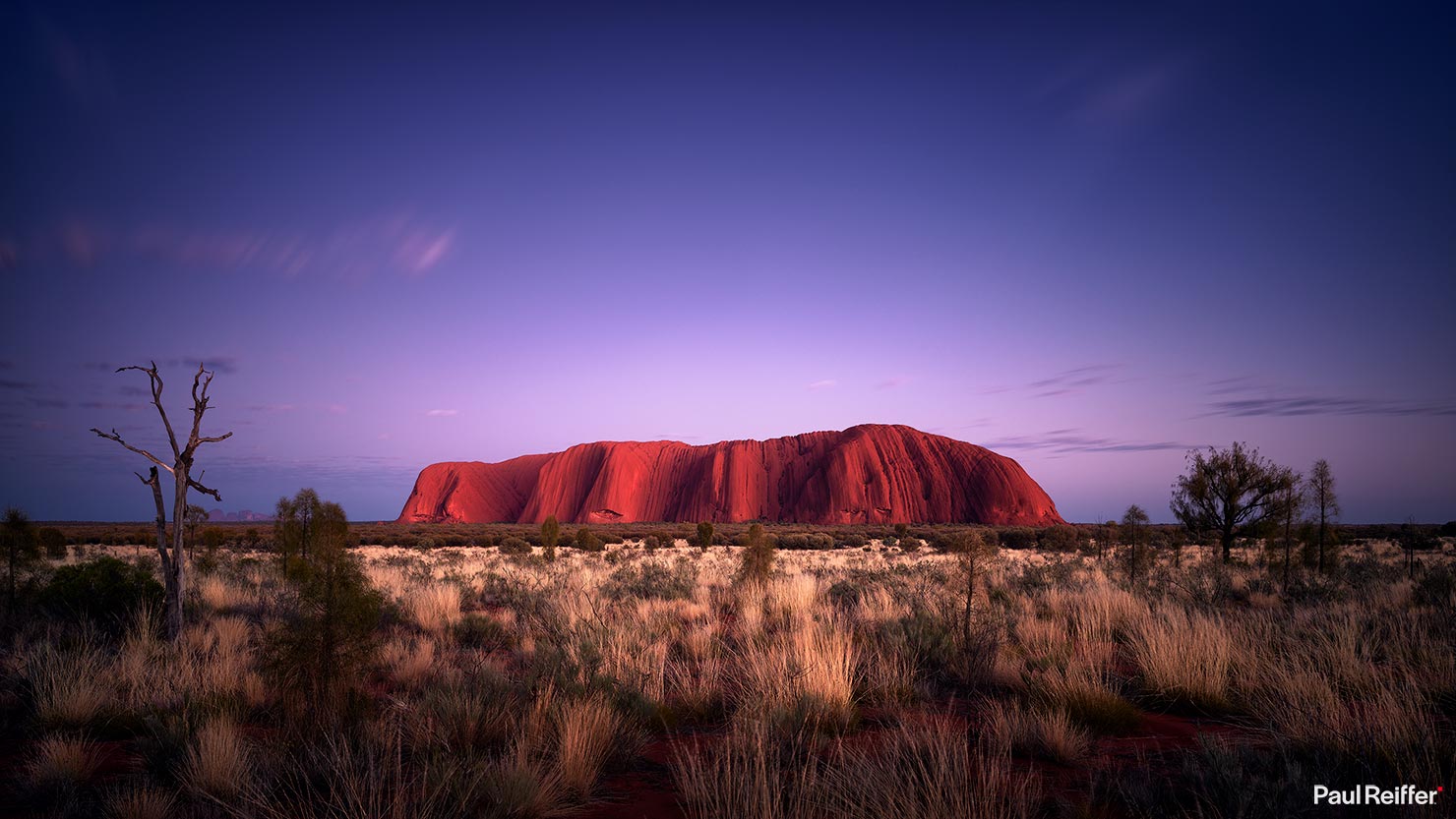 Uluru Red Center Sunrise Australia Dawn P0009114 Paul Reiffer Photographer Red Centre Phase One License Landscape Commercial Buy