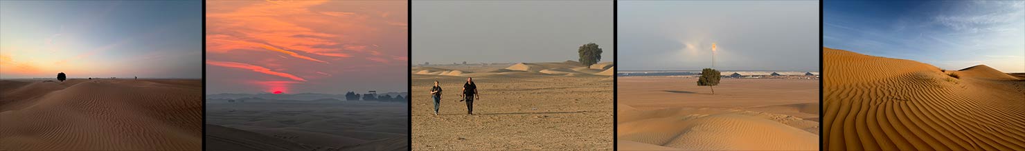 Dubai Desert Dunes Lone Trees Sunrise Uwe BTS iPhone Capture One Paul Reiffer